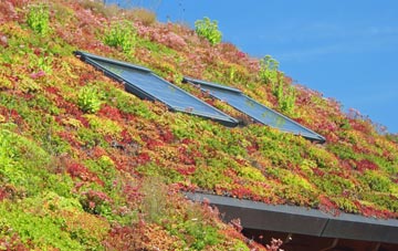 Boulston living roof systems